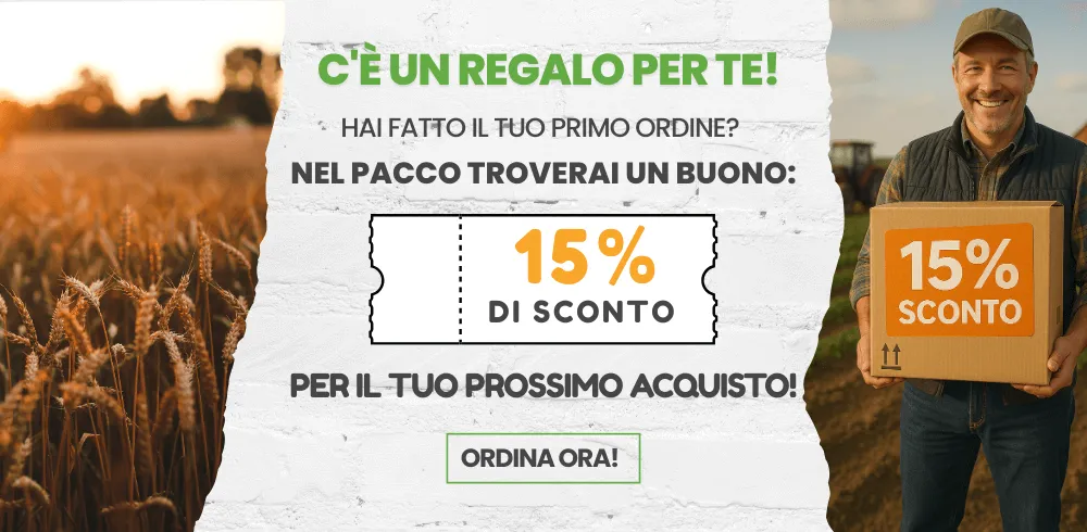 Coupon
